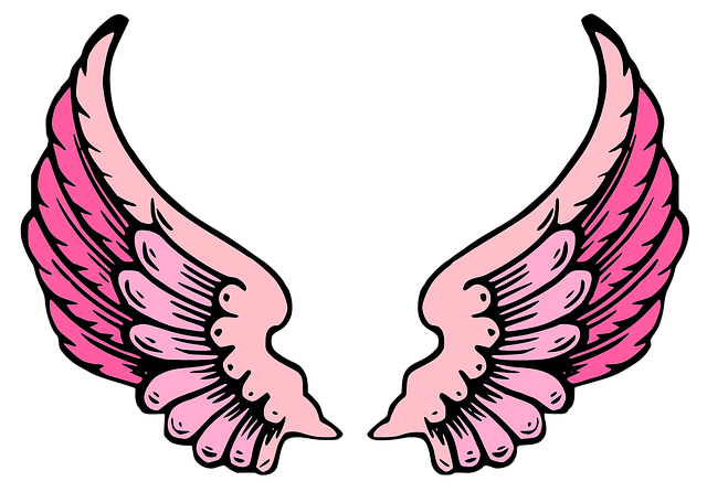 pink-wings-7668896_640.png