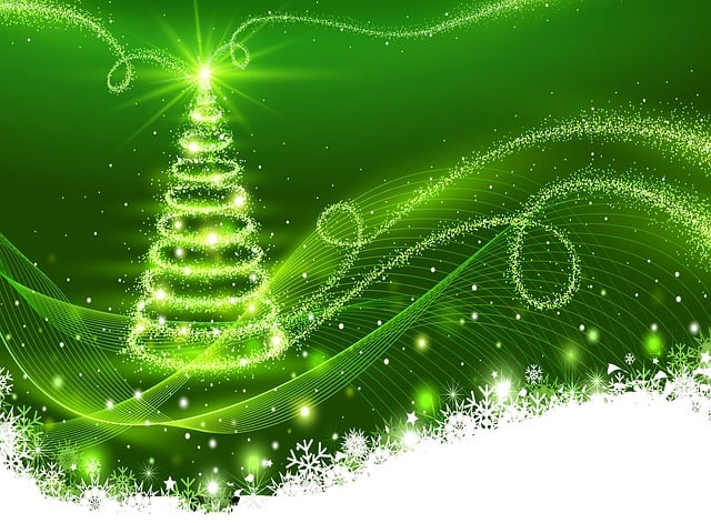 green-christmas-tree-3758297_640.jpg